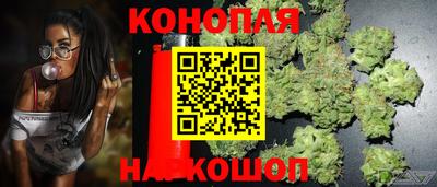 spice Беслан