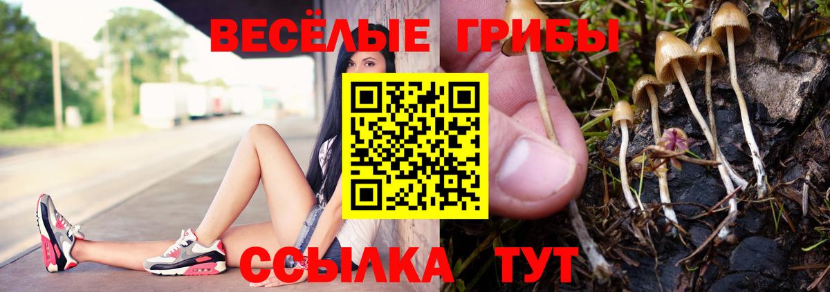 Галлюциногенные грибы ЛСД Кизляр