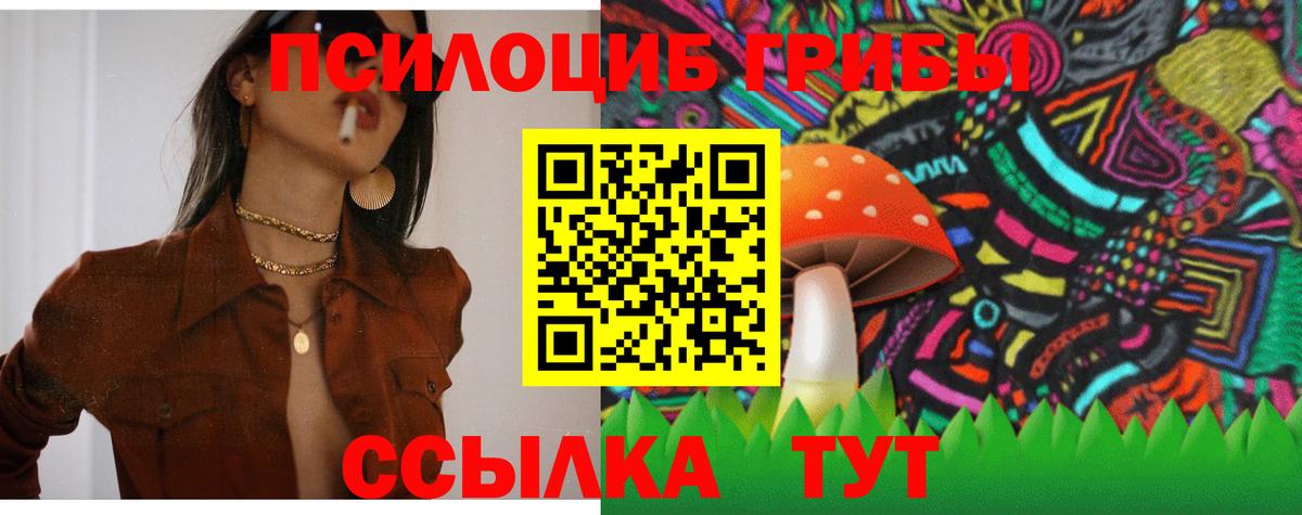 Кизляр  Галлюциногенные грибы мухоморы  Вход с VPN  Псилоцибиновые грибы ЛСД 